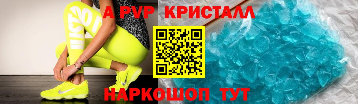 A PVP СК КРИС Обнинск