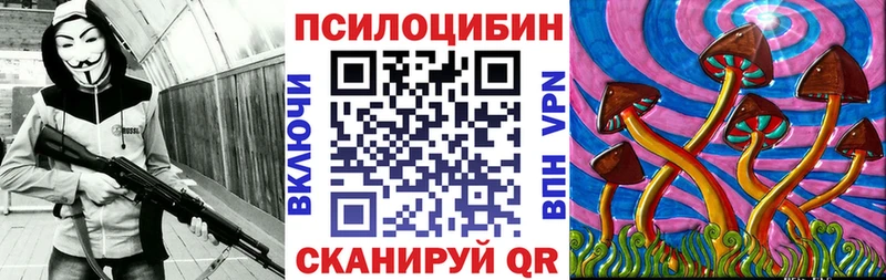 Псилоцибиновые грибы Psilocybe  Обнинск 