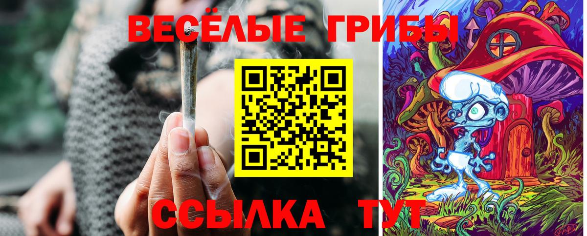 Галлюциногенные грибы мицелий Обнинск